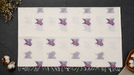 Handloom Cotton Saree in Butterfly Butta