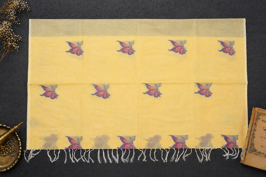Handloom Cotton Saree in Butterfly Butta
