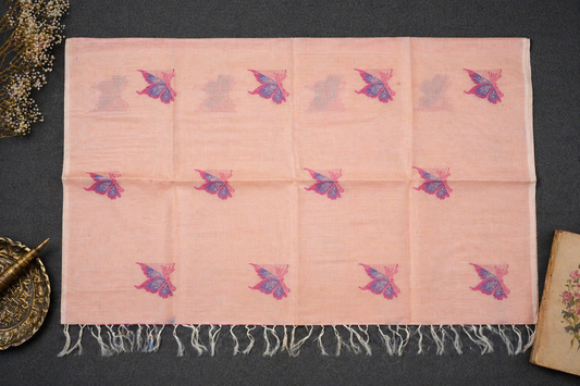 Handloom Cotton Saree in Butterfly Butta